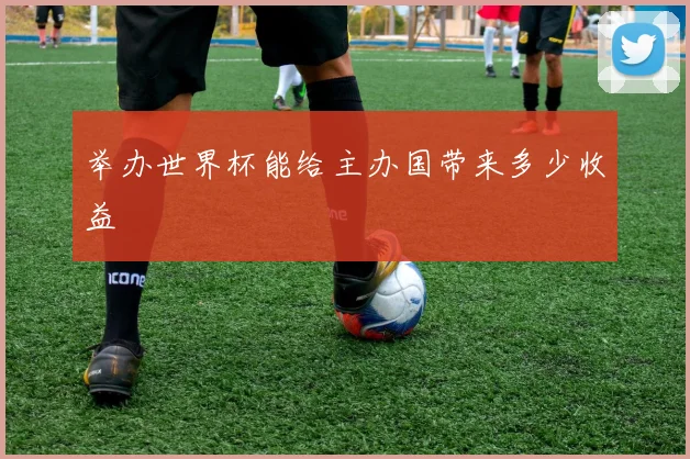 举办世界杯能给主办国带来多少收益