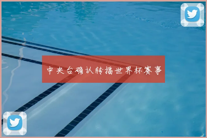 中央台确认转播世界杯赛事