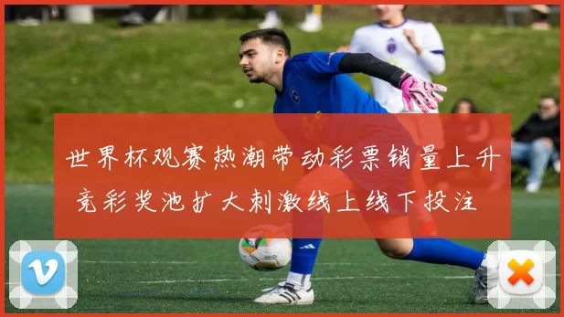 世界杯观赛热潮带动彩票销量上升 竞彩奖池扩大刺激线上线下投注